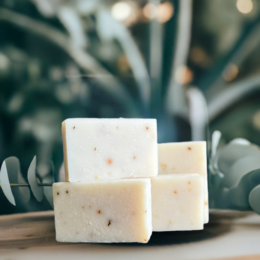 Eucalyptus Aloe Soap